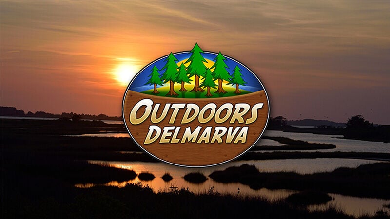 Outdoors Delmarva